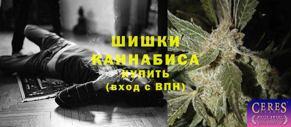 меф Арсеньев
