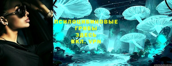 ALPHA PVP Аркадак