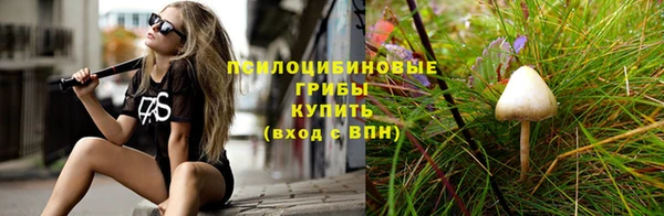 меф Арсеньев