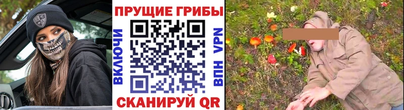 Псилоцибиновые грибы Magic Shrooms  ОМГ ОМГ зеркало  Сорск 